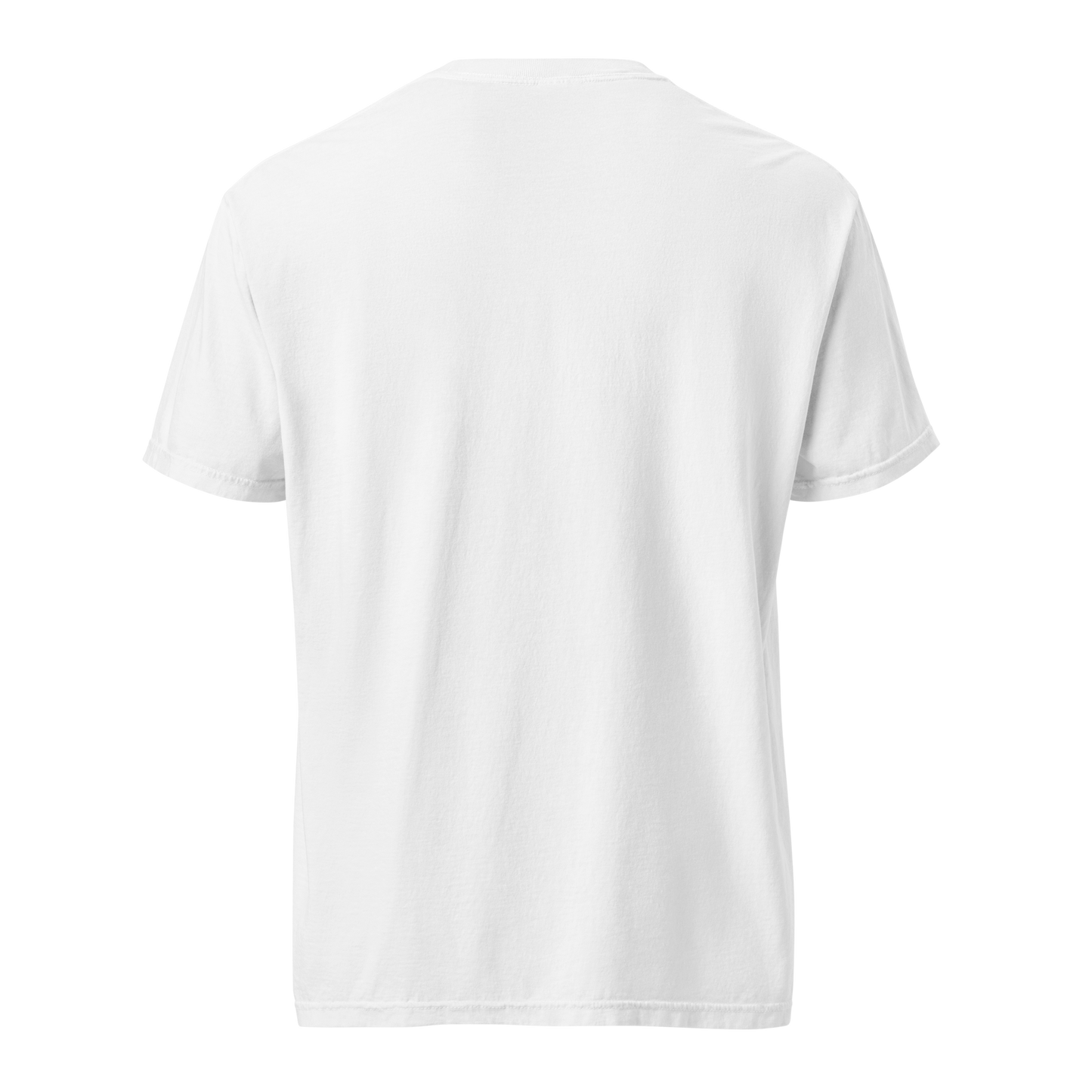 Camiseta Heavyweight Perfection Signature